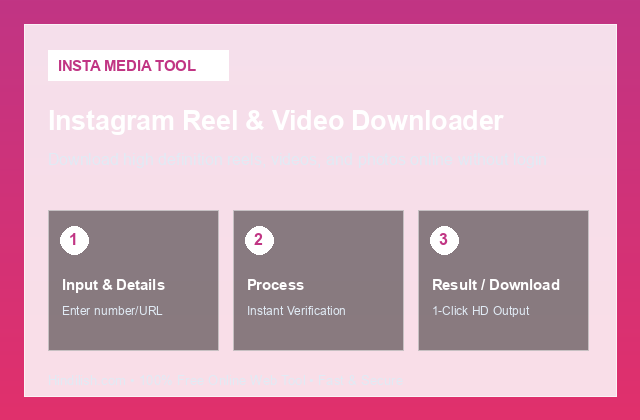 Instagram Video Downloader Guide