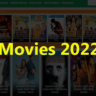 9xmovies 2022 300mb movies download