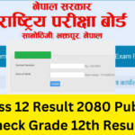 NEB Class 12 Result 2080 Published: Check Grade 12th Result